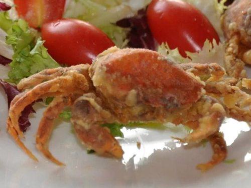 Stagione delle moleche 2026