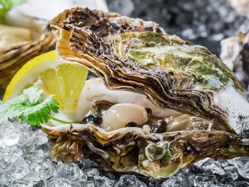 Degustazione di Ostriche 2026