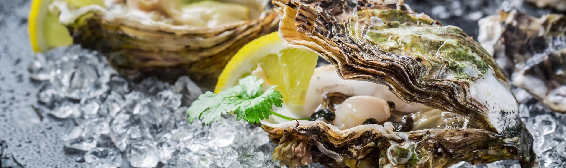 Degustazione di ostriche