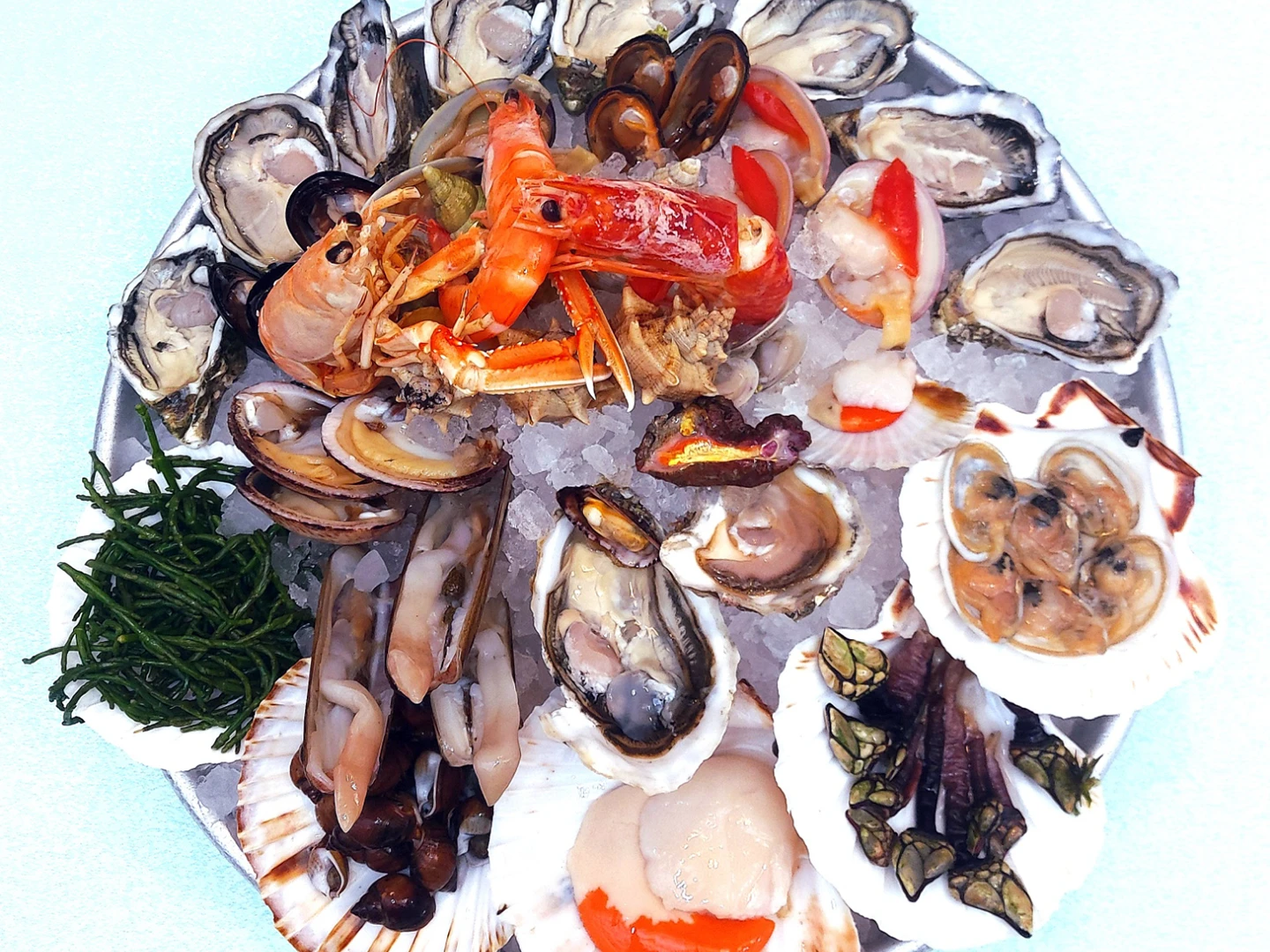 Plateau Royal da uno