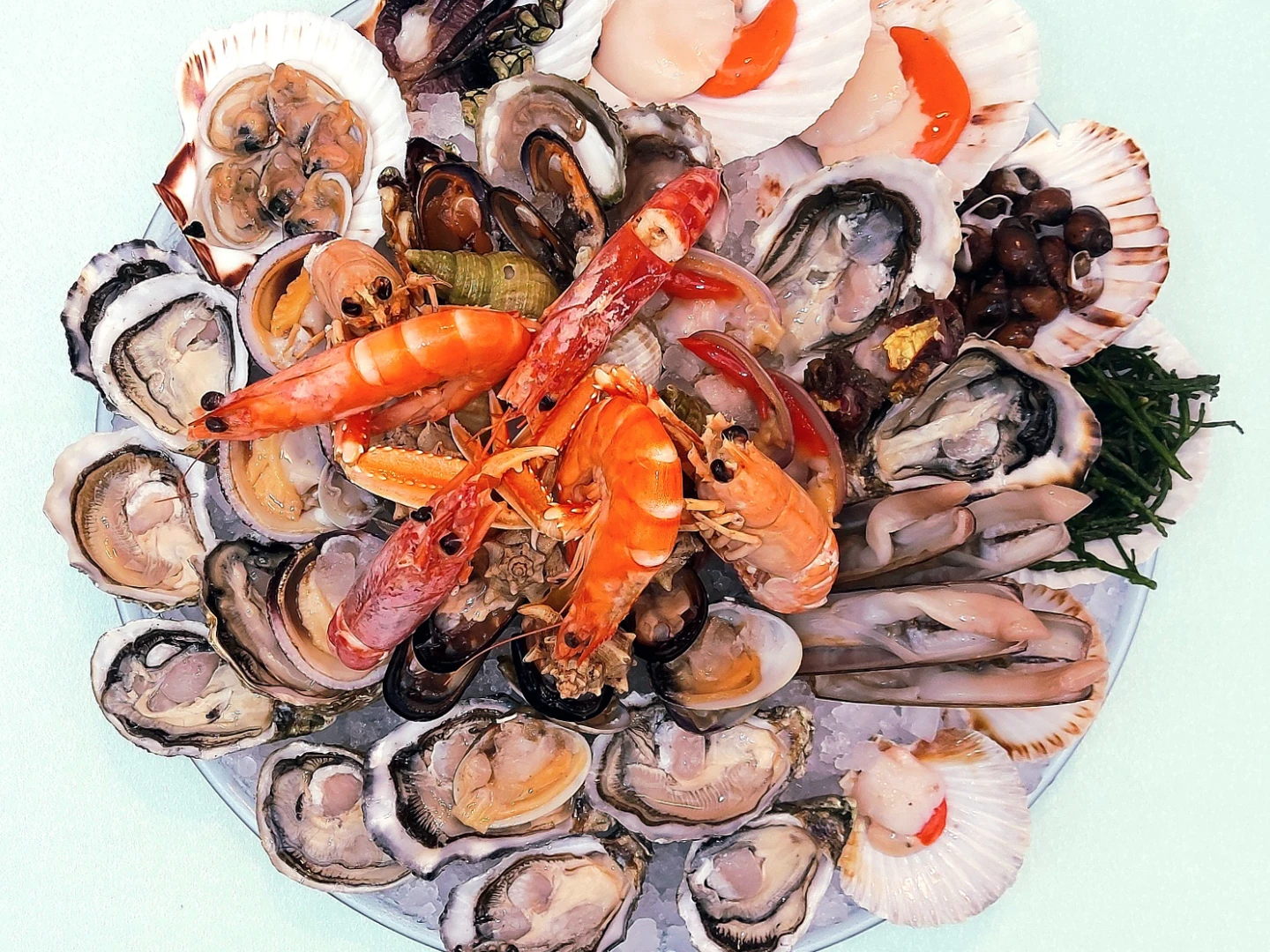 Plateau Royal da Due