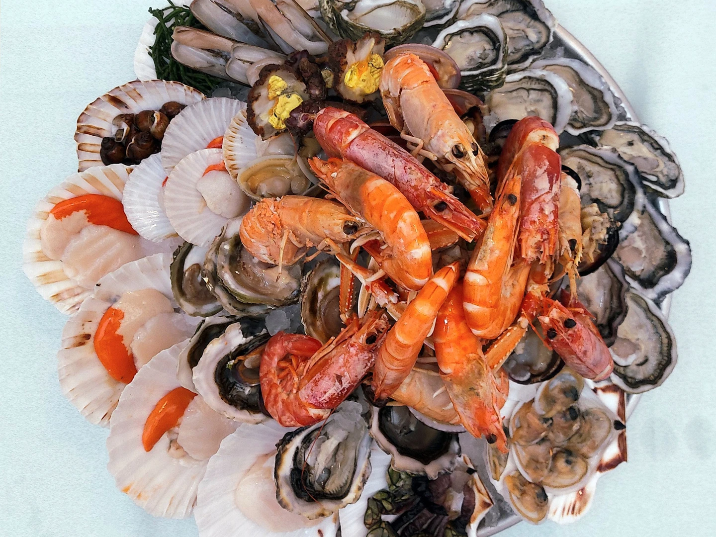 Plateau Royal da Quattro